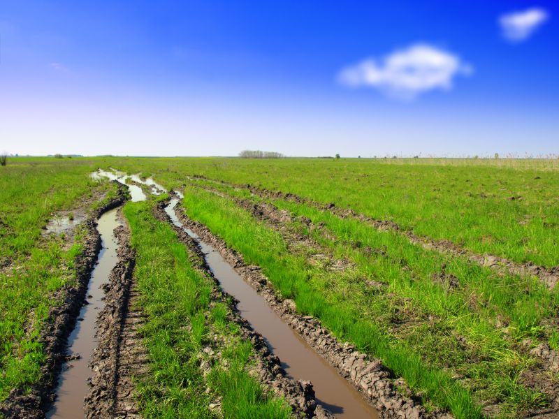 Dirt Leveling Service